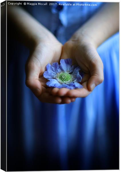 Pincushion Flower In Little girl's Hands Canvas Print by Maggie McCall