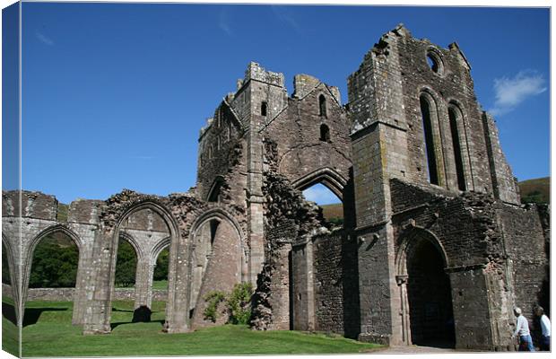 Llanthony priory Canvas Print by mark blower