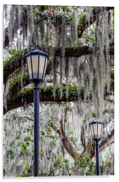 Two Lamps and Spanish Moss Acrylic by Darryl Brooks