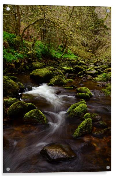 Reelig Glen Acrylic by Macrae Images