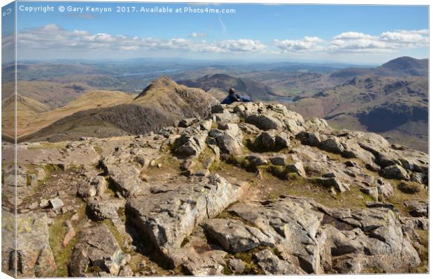 Taking in the view From Pike O' Stickle Canvas Print by Gary Kenyon
