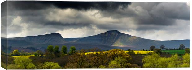 Brecon Beacons Canvas Print by Andrew Richards