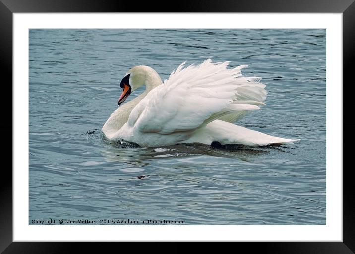 Gliding across the Lake Framed Mounted Print by Jane Metters