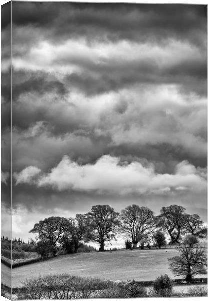 Cloudy Treeline Canvas Print by Andrew Richards