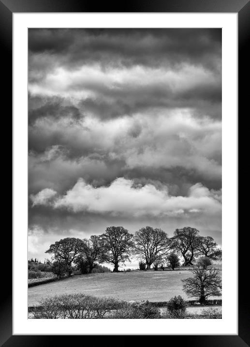Cloudy Treeline Framed Mounted Print by Andrew Richards