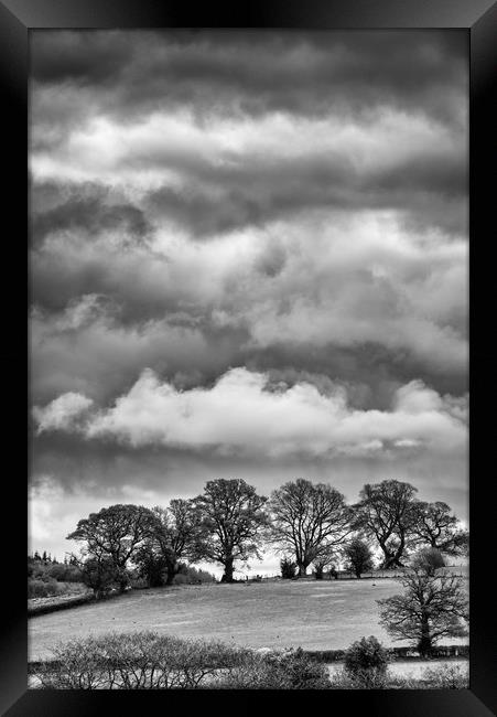 Cloudy Treeline Framed Print by Andrew Richards