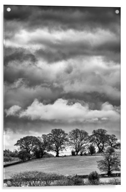Cloudy Treeline Acrylic by Andrew Richards