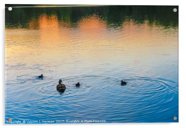 Family of Ducks at Sunset Acrylic by Vincent J. Newman