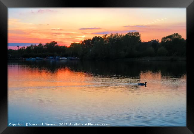 Sunset at Whitlingham Lake, Norwich, U.K  Framed Print by Vincent J. Newman