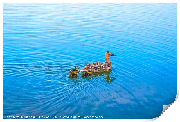 Family of Ducks at Sunset Print by Vincent J. Newman
