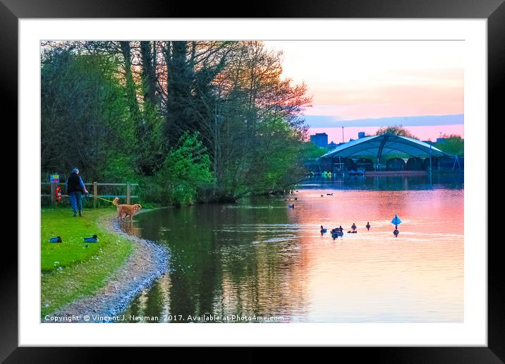 Sunset at Whitlingham Lake, Norwich, U.K  Framed Mounted Print by Vincent J. Newman