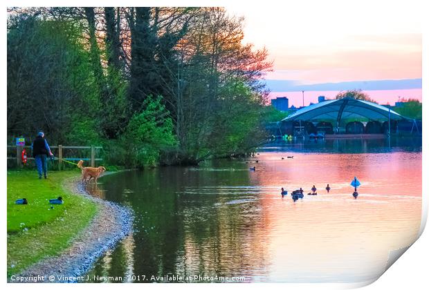Sunset at Whitlingham Lake, Norwich, U.K  Print by Vincent J. Newman