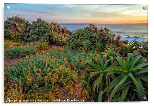 Morning Along The Peninsula  Acrylic by jonathan nguyen