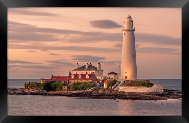 Twilight at St Mary's Lighthouse Framed Print by Naylor's Photography