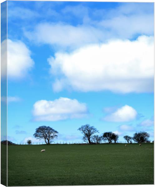 Spring Clouds Canvas Print by David McCulloch