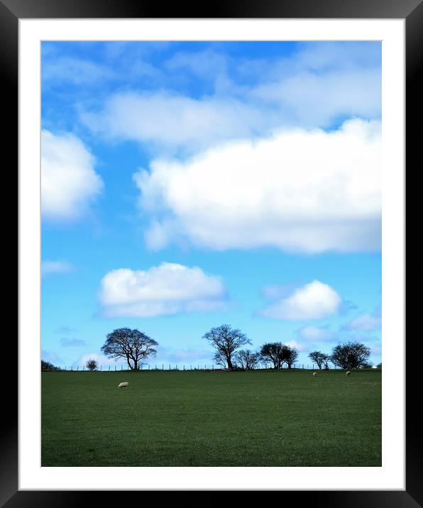Spring Clouds Framed Mounted Print by David McCulloch