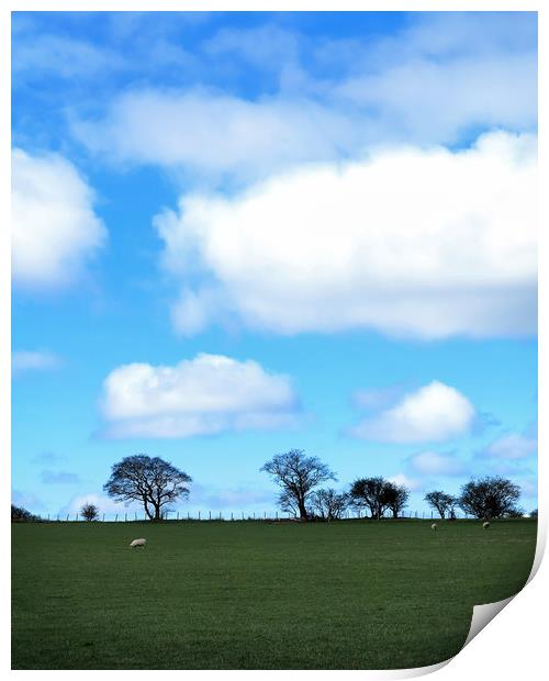 Spring Clouds Print by David McCulloch