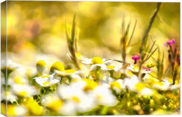 Sunny Blooming Day Canvas Print by Michael Goyberg