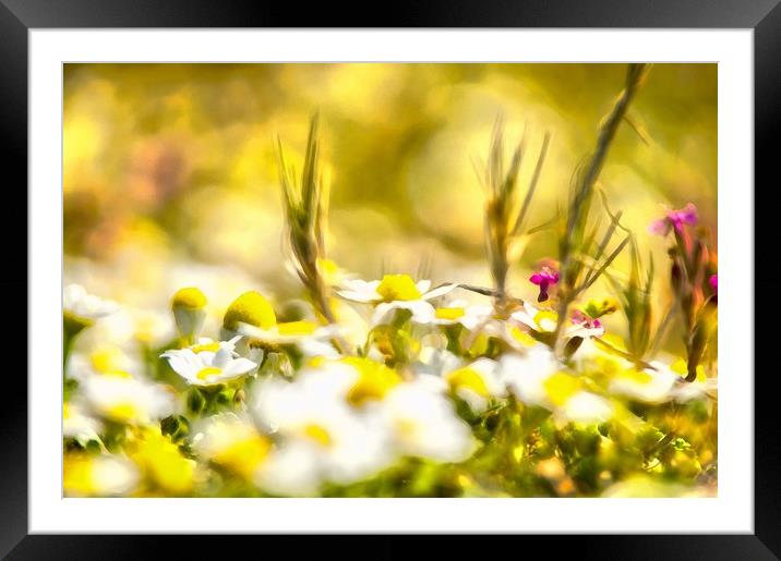 Sunny Blooming Day Framed Mounted Print by Michael Goyberg