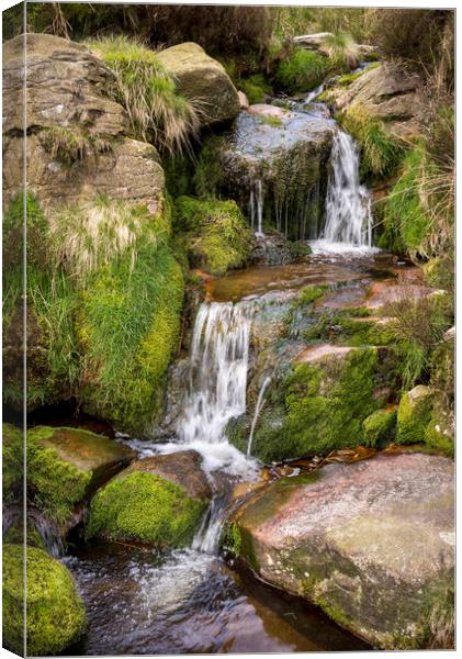 Rocky moorland stream in the Peak District Canvas Print by Andrew Kearton