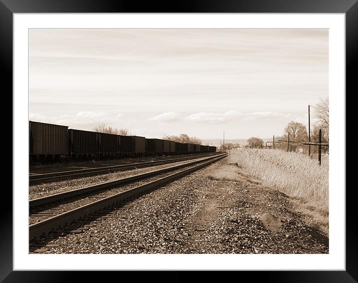 Train lines Framed Mounted Print by Patti Barrett