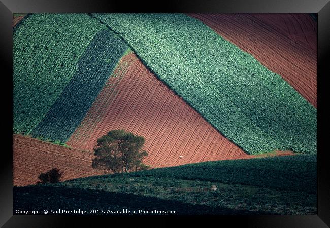 Field Pattern Landscape, Devon Framed Print by Paul F Prestidge