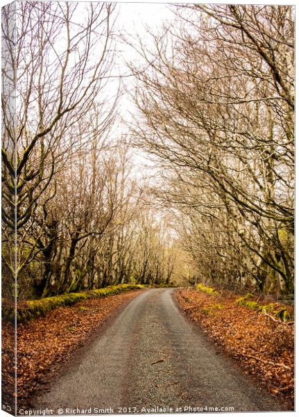The old main road at Skeabost #2 Canvas Print by Richard Smith