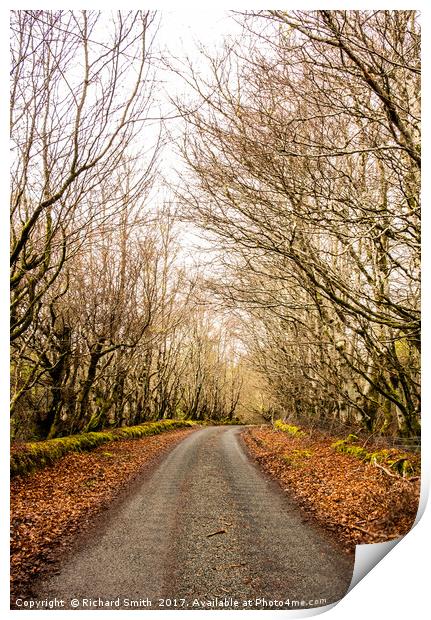 The old main road at Skeabost #2 Print by Richard Smith