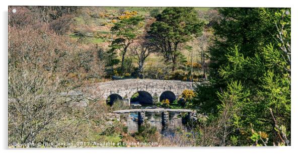 The Two Bridges of Postbridge on Dartmoor Acrylic by Nick Jenkins
