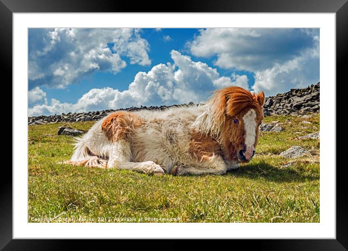 Pony under Sharpitor Tor on Dartmoor Devon  Framed Mounted Print by Nick Jenkins