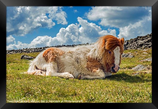 Pony under Sharpitor Tor on Dartmoor Devon  Framed Print by Nick Jenkins