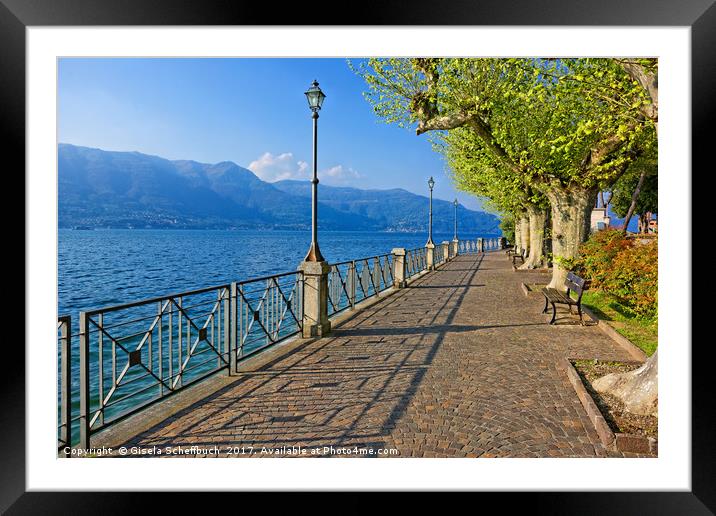 Walk on the Shores of Lago Maggiore Framed Mounted Print by Gisela Scheffbuch