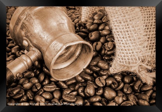 Arab coffee pot Framed Print by Igor Krylov