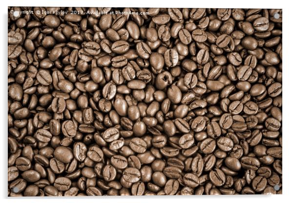 Coffee beans background Acrylic by Igor Krylov