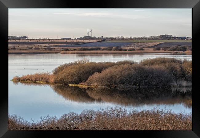 Peace on the Loch Framed Print by Brian Sandison