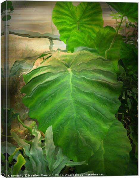 Tropical Leaves.  Canvas Print by Heather Goodwin
