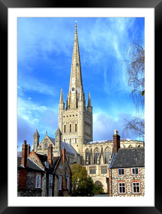Norwich cathedral Framed Mounted Print by Darren Burroughs