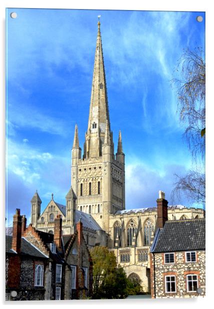 Norwich cathedral Acrylic by Darren Burroughs