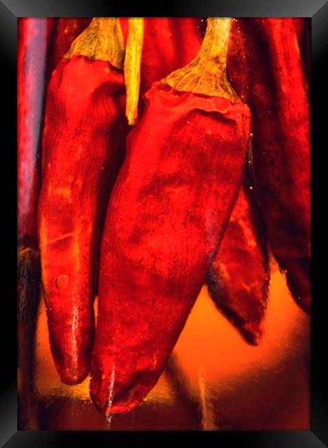 Red Chilli art Framed Print by Darren Burroughs