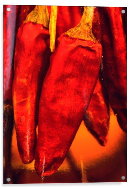 Red Chilli art Acrylic by Darren Burroughs