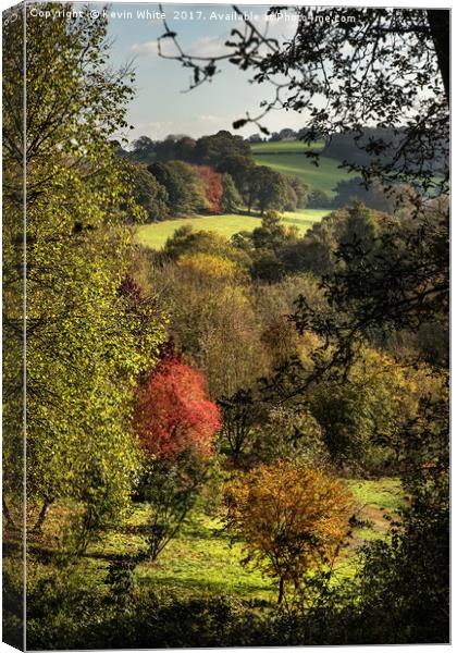 Nature in November Canvas Print by Kevin White