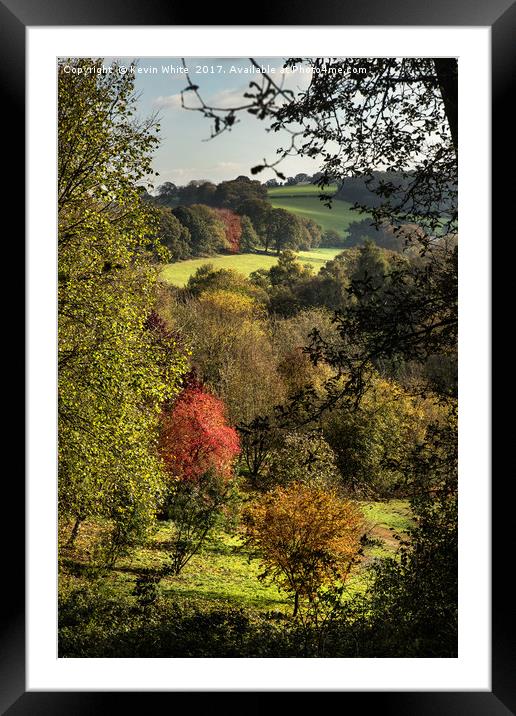 Nature in November Framed Mounted Print by Kevin White