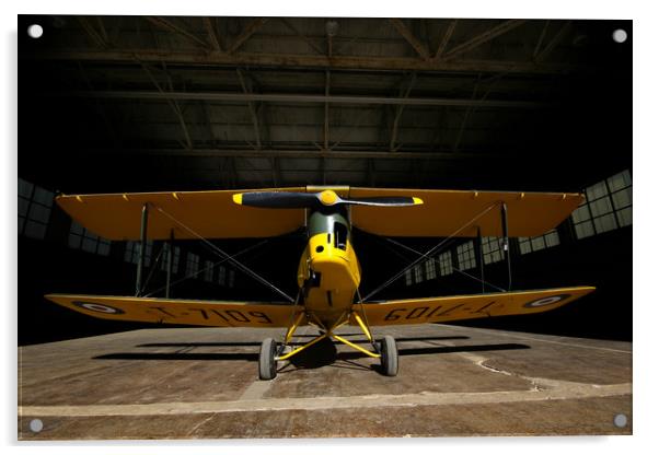 Tiger Moth Ready for Flight Acrylic by Oxon Images