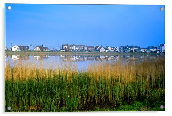 Torcross and Slapton Ley, South Devon Acrylic by Paul F Prestidge