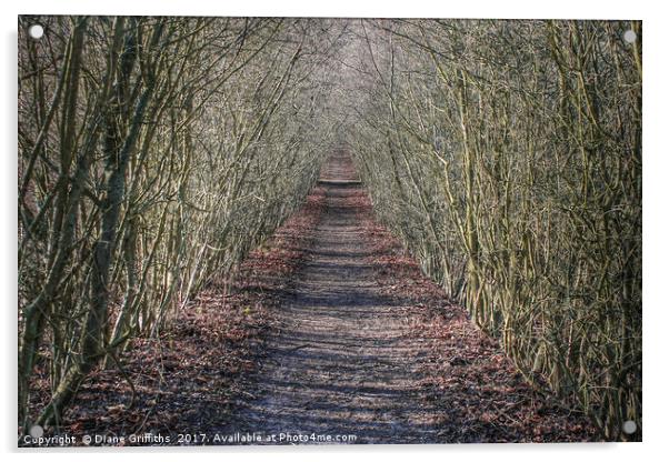 Walking Through Otford Acrylic by Diane Griffiths