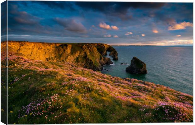 The beauty of Bedruthan Steps Canvas Print by Michael Brookes