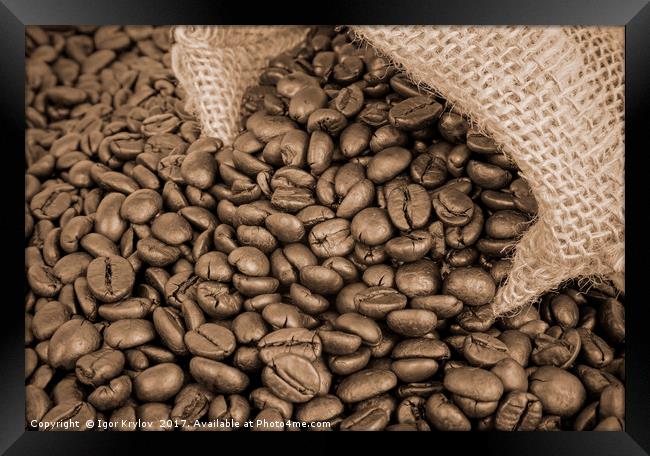 Coffee beans Framed Print by Igor Krylov