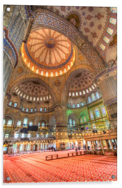 The Blue Mosque Istanbul Turkey Acrylic by David Pyatt
