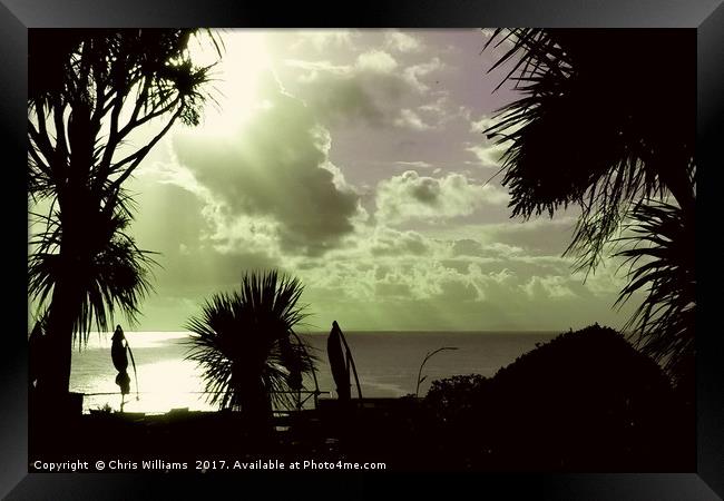 Tropical Tenby Framed Print by Chris Williams