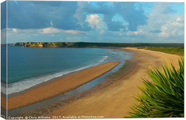 Tenby's Southern Sands Canvas Print by Chris Williams